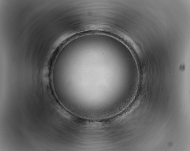 X0000102831019200808181319