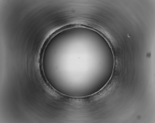 X0000102831020200808181319