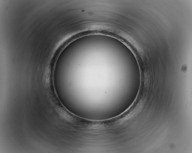 X0000102831021200808181319