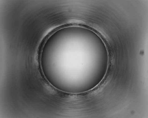 X0000102831022200808181319