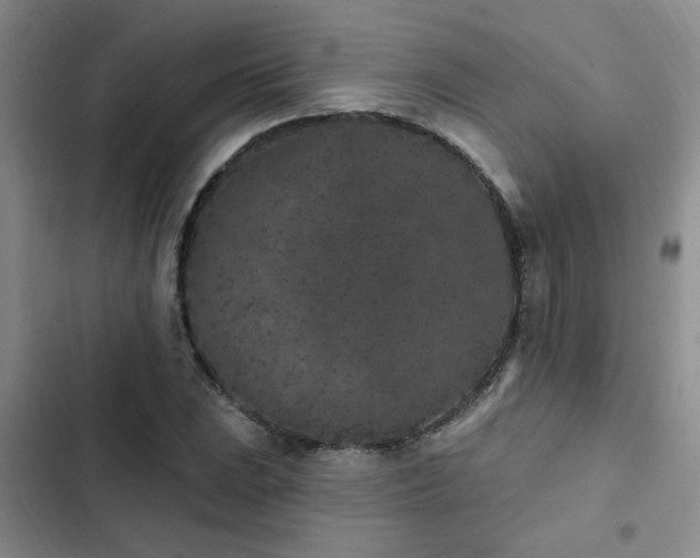 X0000102831023200808181319