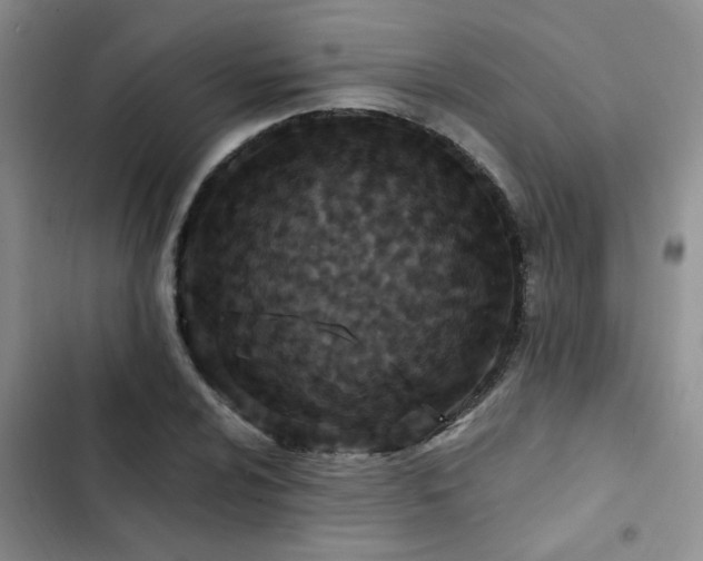 X0000102831024200808181319