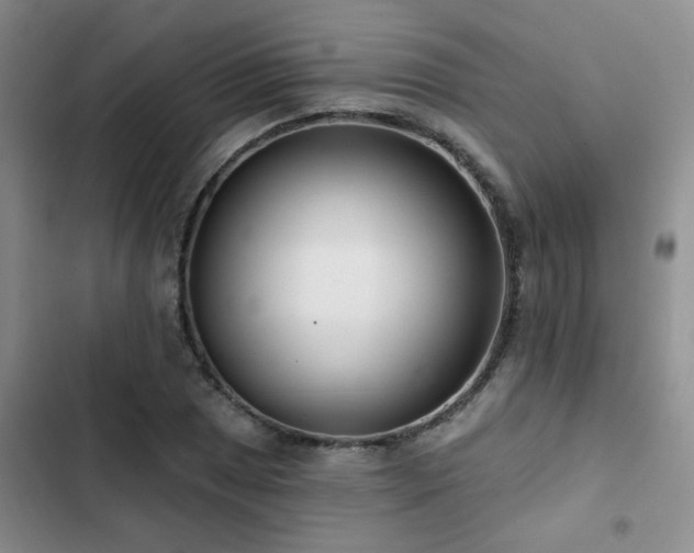 X0000102831025200808181319