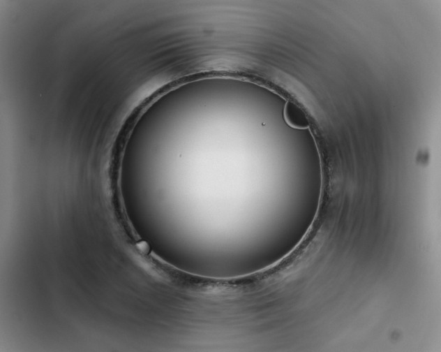 X0000102831026200808181319
