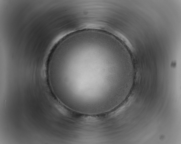 X0000102831027200808181319