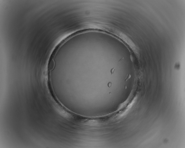 X0000102831028200808181319
