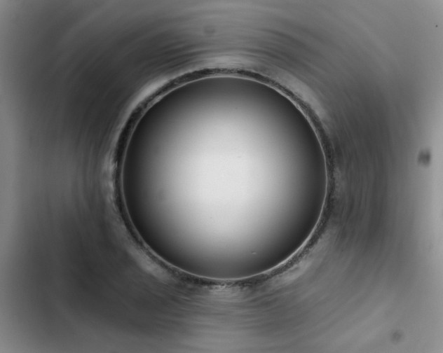 X0000102831029200808181319