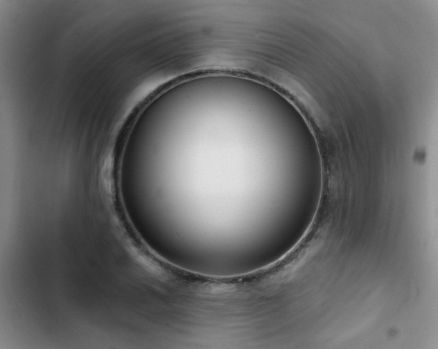 X0000102831030200808181319