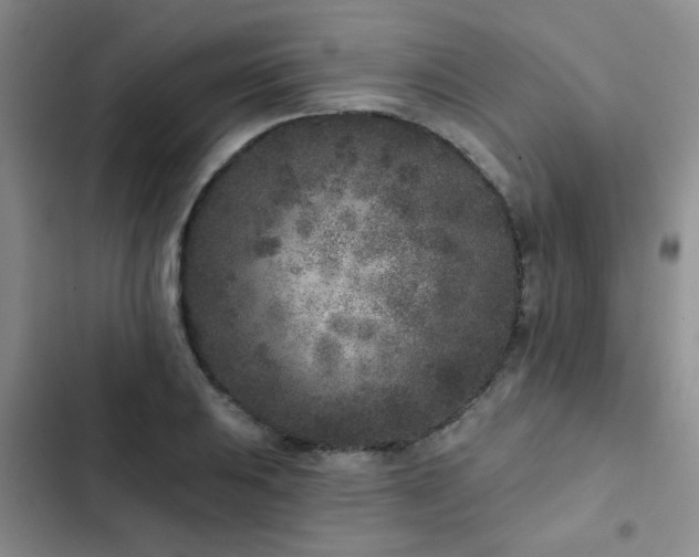 X0000102831031200808181319