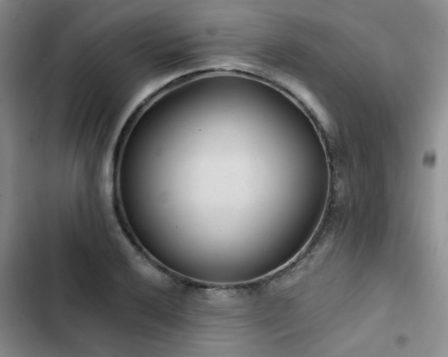 X0000102831032200808181319