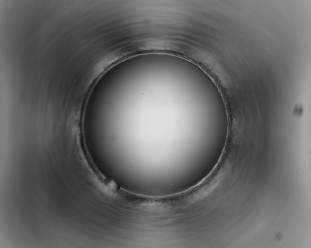 X0000102831033200808181319