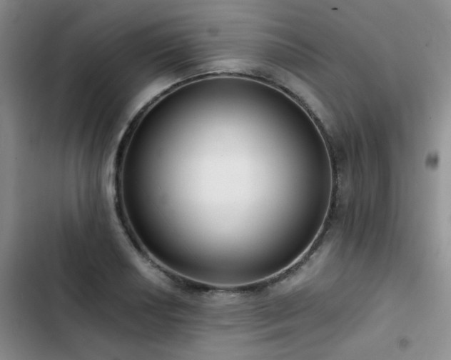 X0000102831034200808181319