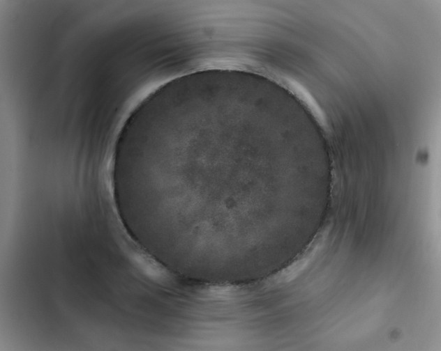 X0000102831035200808181319