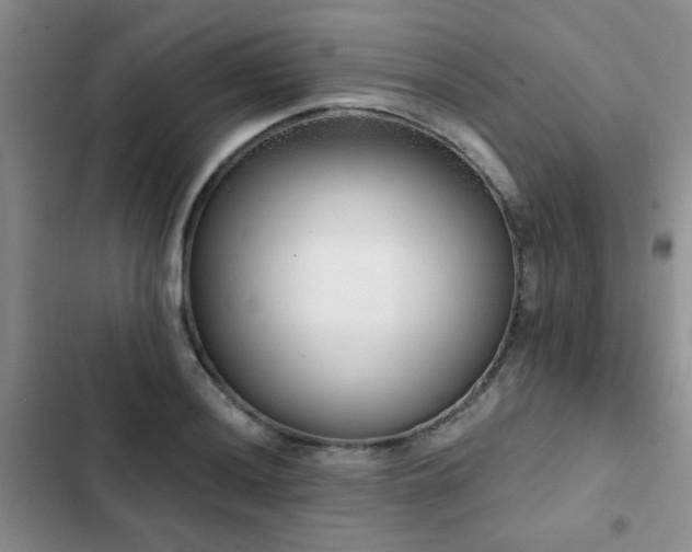 X0000102831036200808181319