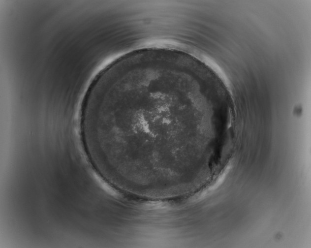X0000102831037200808181319