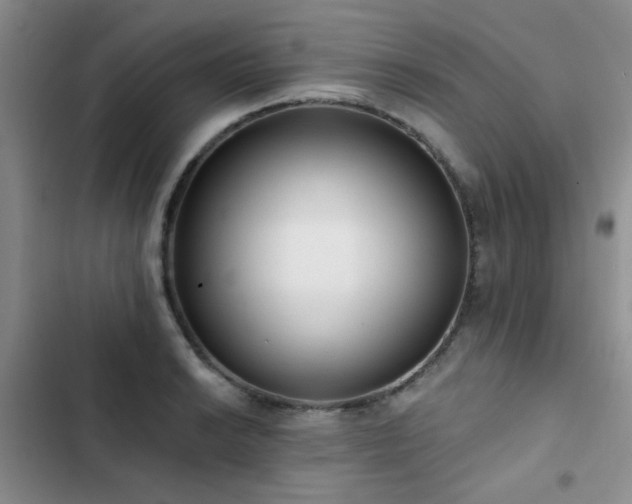X0000102831038200808181319