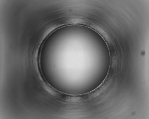 X0000102831039200808181319