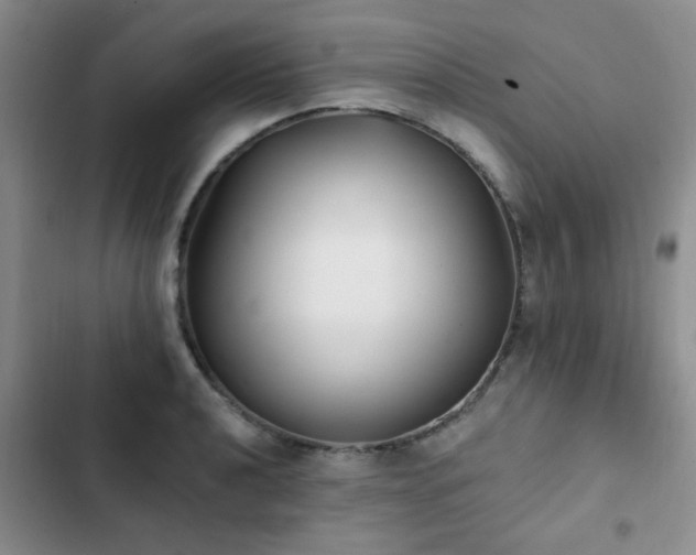 X0000102831040200808181319