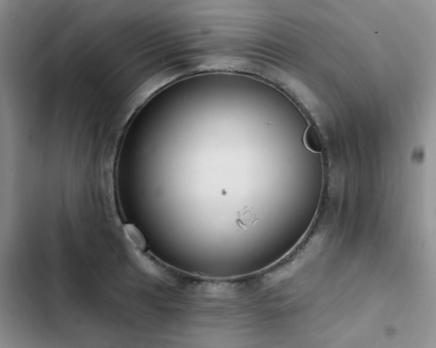 X0000102831041200808181319
