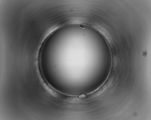 X0000102831042200808181319