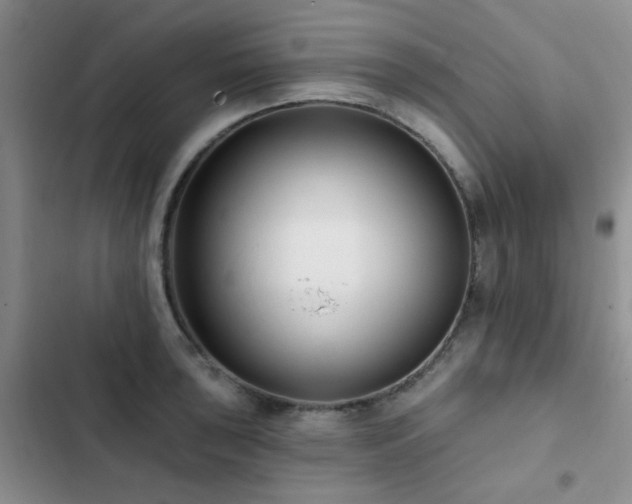 X0000102831043200808181319