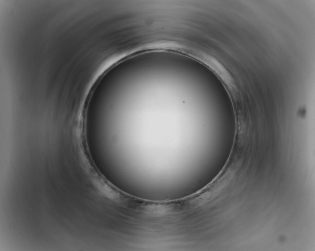 X0000102831044200808181319