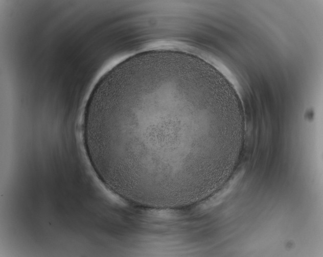 X0000102831045200808181319