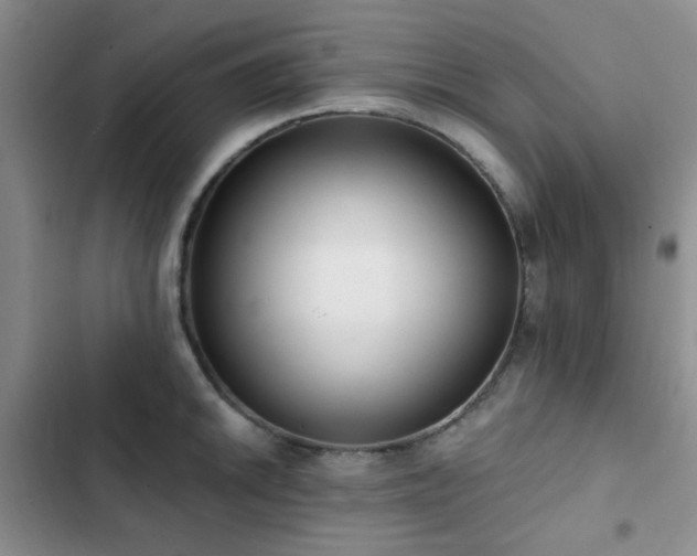 X0000102831046200808181319