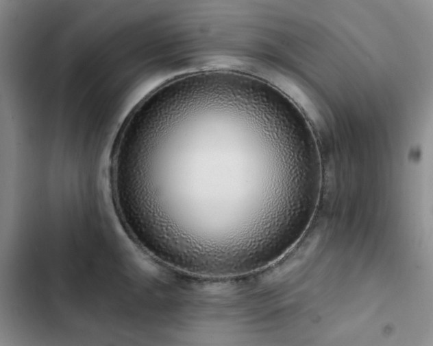 X0000102831047200808181319