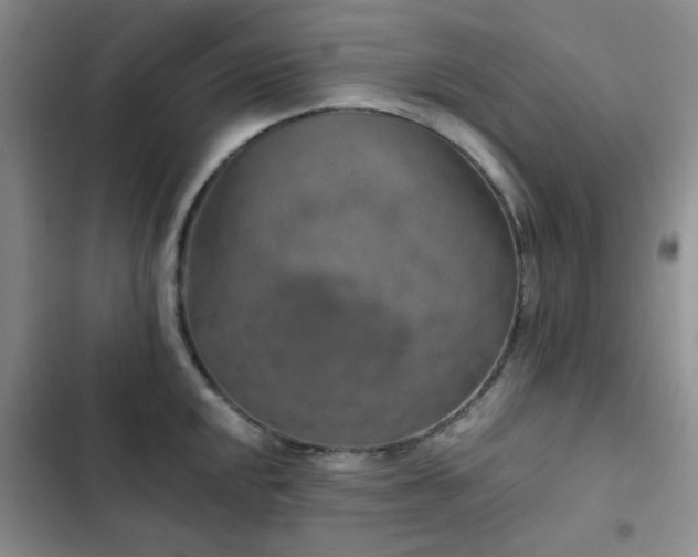 X0000102831048200808181319