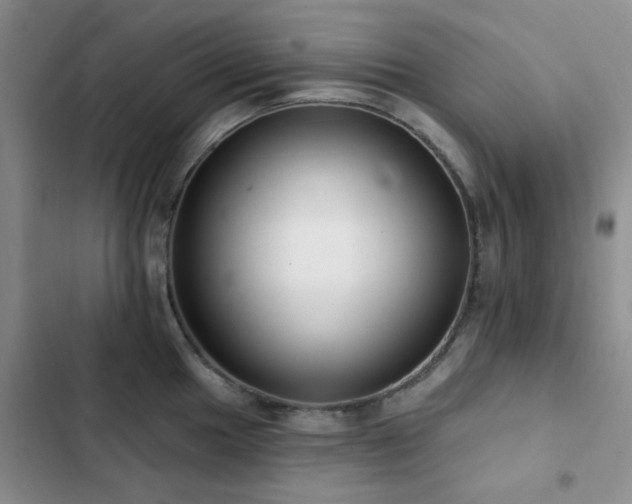 X0000102831049200808181319