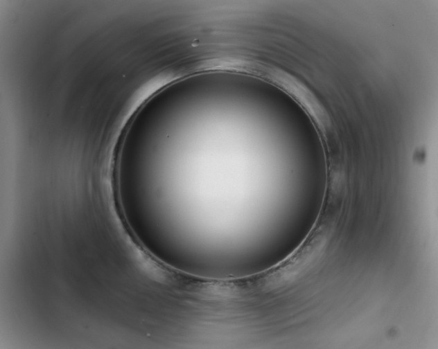 X0000102831050200808181319
