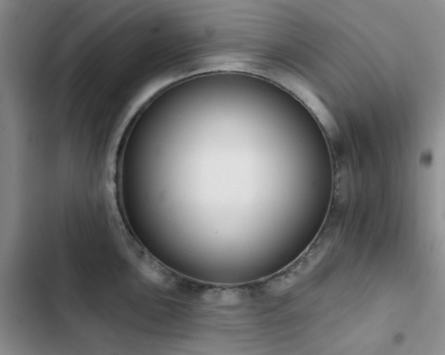 X0000102831051200808181319