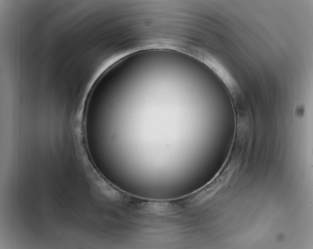 X0000102831052200808181319