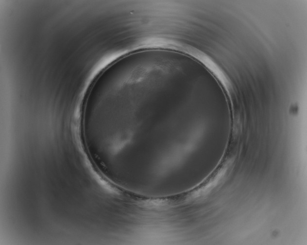 X0000102831053200808181319