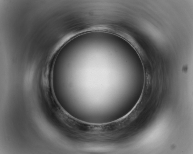 X0000102831054200808181319