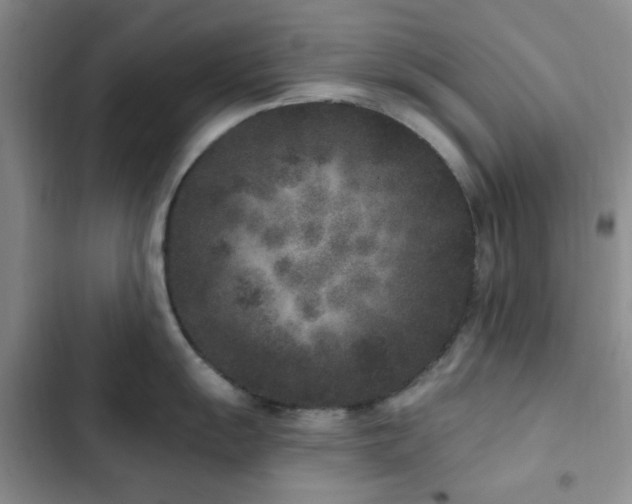 X0000102831055200808181319