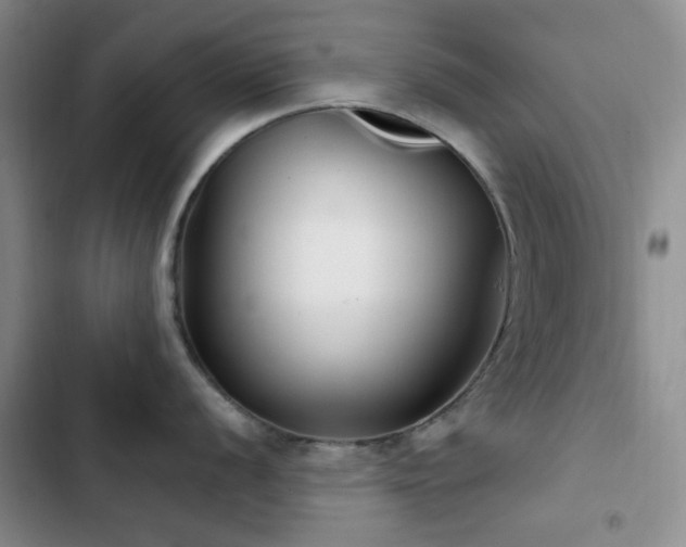 X0000102831056200808181319