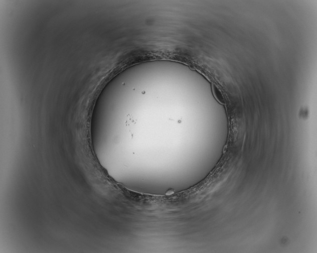 X0000102831057200808181319