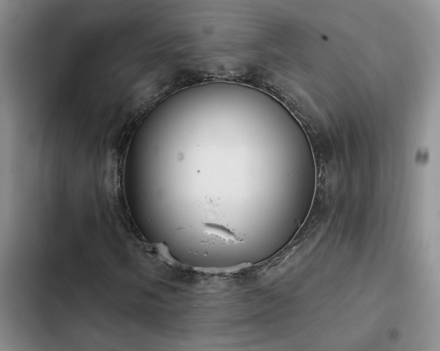 X0000102831058200808181319