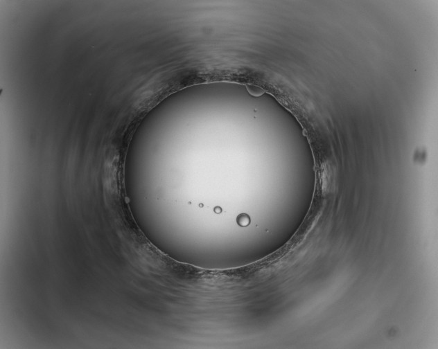 X0000102831059200808181319