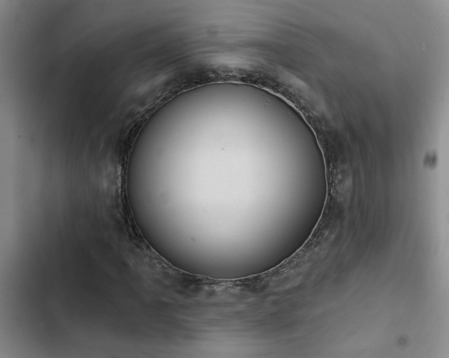 X0000102831061200808181319