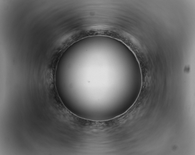 X0000102831062200808181319