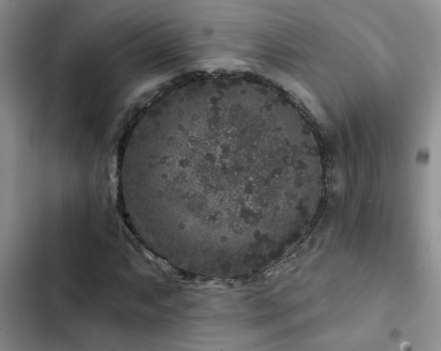 X0000102831063200808181319