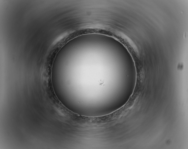 X0000102831064200808181319