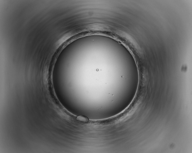 X0000102831065200808181319