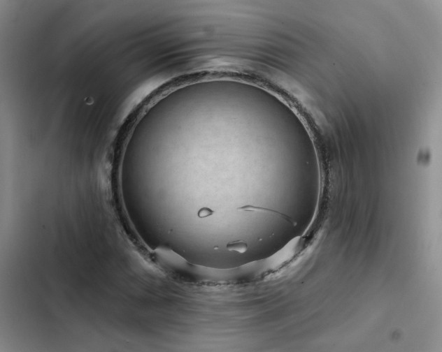 X0000102831066200808181319