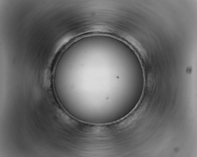 X0000102831067200808181319