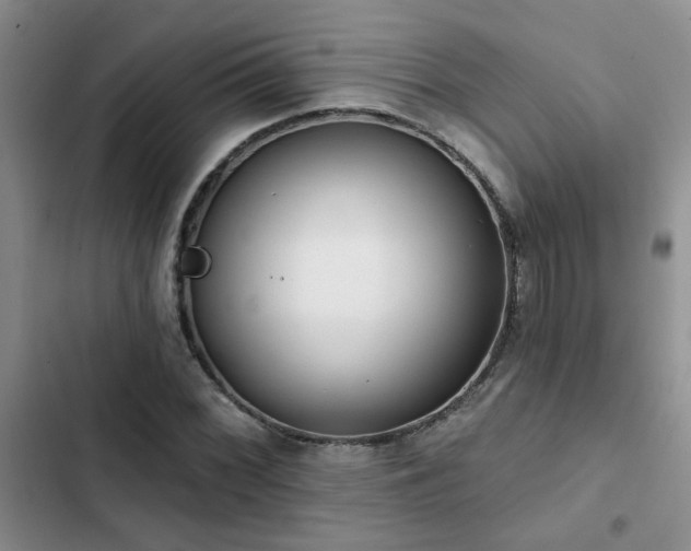 X0000102831068200808181319