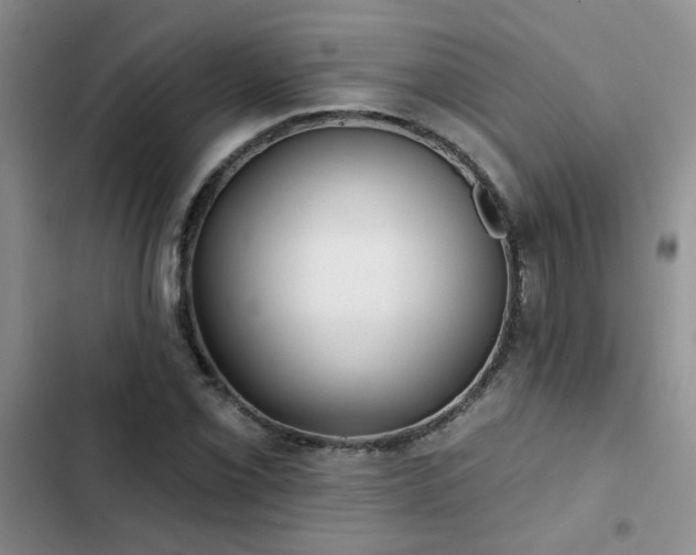 X0000102831069200808181319